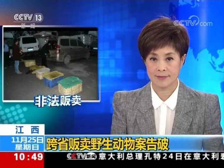 姚楚旋最新新闻与个人简介背景曝光