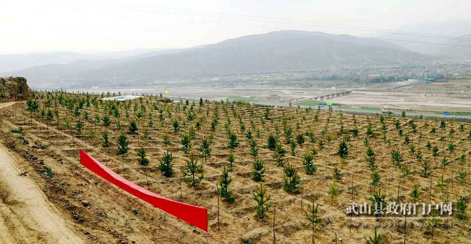 武山县概况,最新资讯与介绍