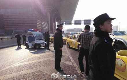 出租车罢运最新动态,驶向自然的心灵之旅新篇章