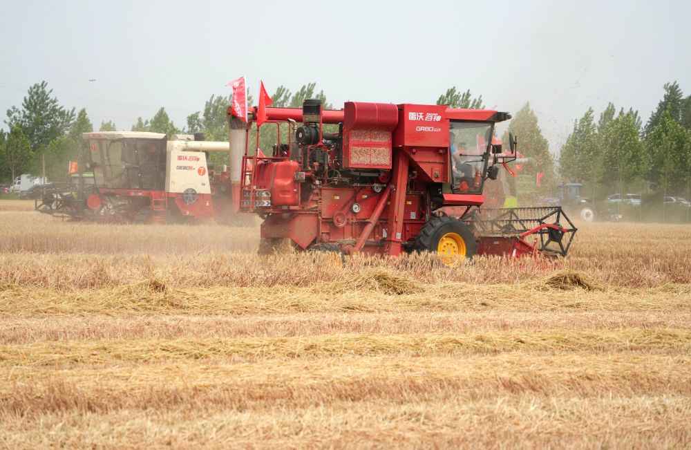 最新粮补政策解读,如何受益并做好准备?