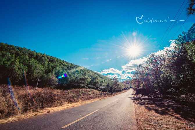 11月3日与99社区共赴自然美景之旅,一场治愈心灵的旅程