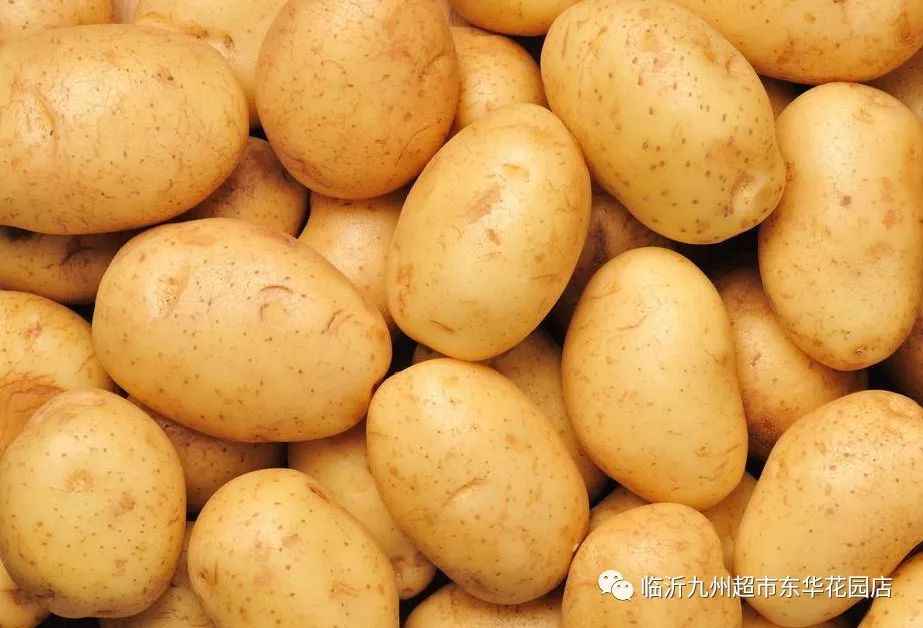 秋日市场土豆行情,惊喜与家的温暖土豆情缘揭秘