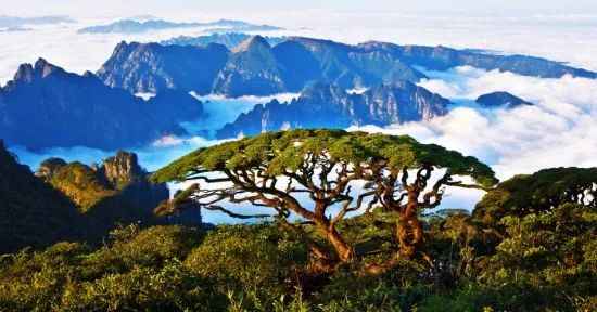 11月5日,与自然美景的不期而遇的心灵之旅