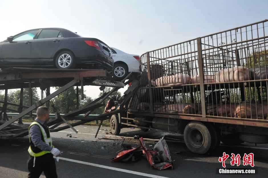 阜淮高速最新动态,爱在高速路上的温馨日常故事