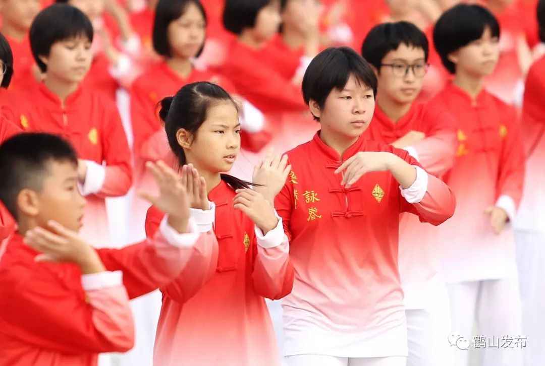 聚焦咏春最新动态,11月5日发展新篇章