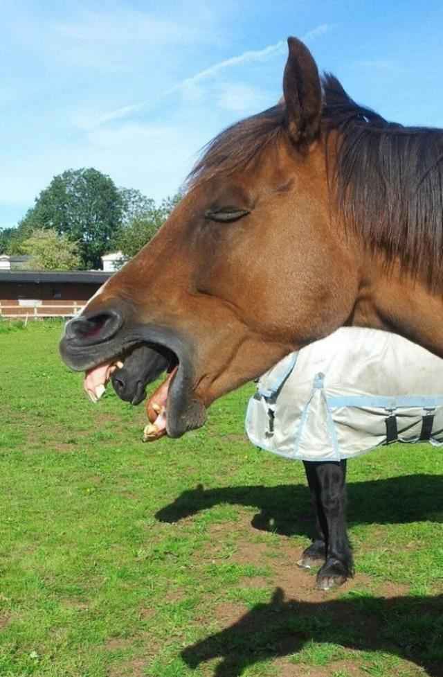 今晚澳门特马开的什么图片,稳定解答解释落实_专属款90.562