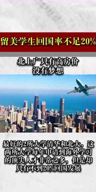 留美学生失踪背后的励志故事,逆风翱翔,学习变化的力量铸就自信成就之路的最新消息(11月8日)