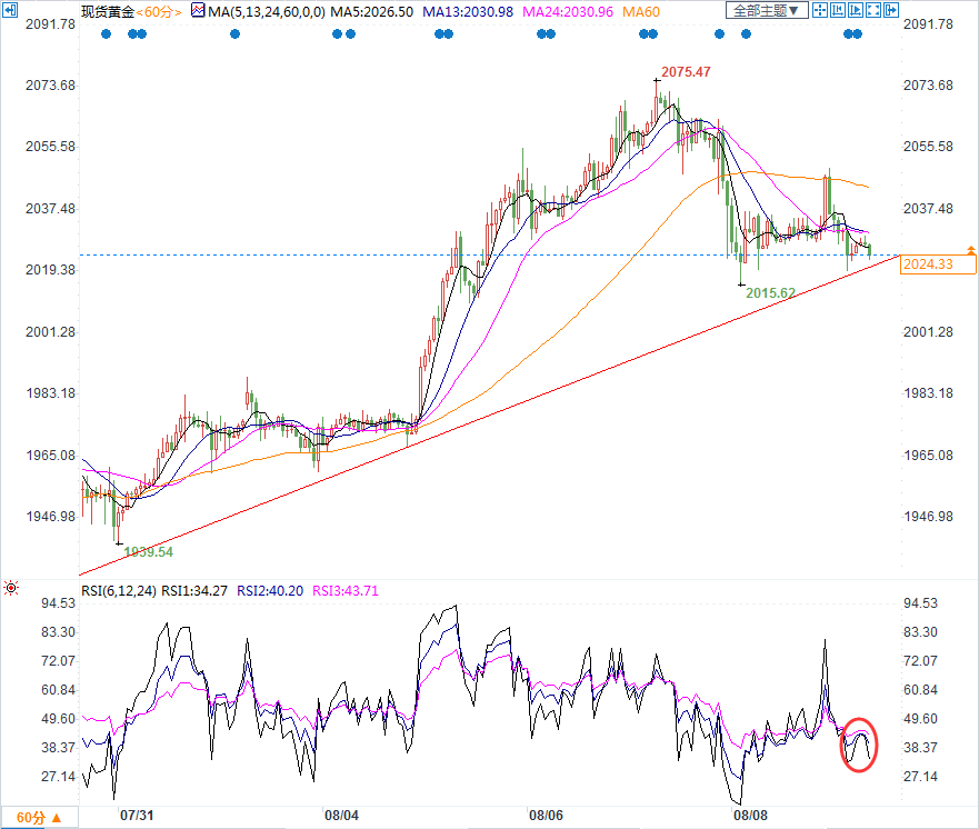 11月8日国际黄金最新分析价格及其步骤指南