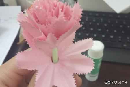 最新手捧花点亮人生旅途,11月8日时尚之选