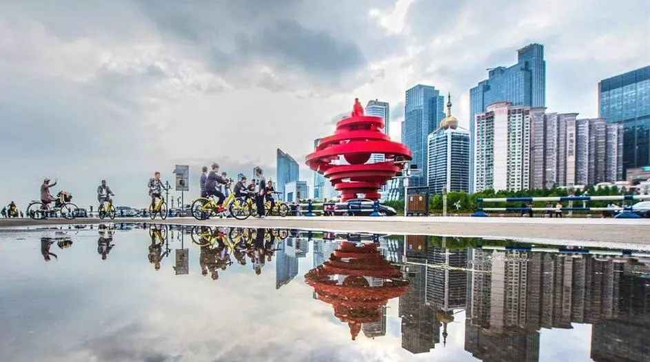 11月8日青岛市人事任免动态更新