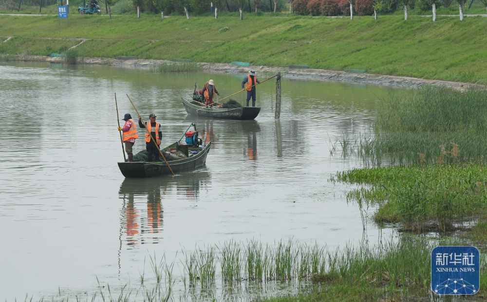2024年11月10日海口最新水库钓鱼点探索与观点碰撞,海口水库钓鱼新热点