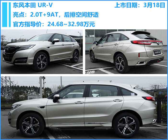 11月10日超昂最新动态揭秘,前沿资讯与深度解析