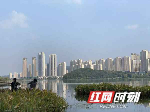 道州市秋日暖阳,温馨日常故事揭秘(最新消息)