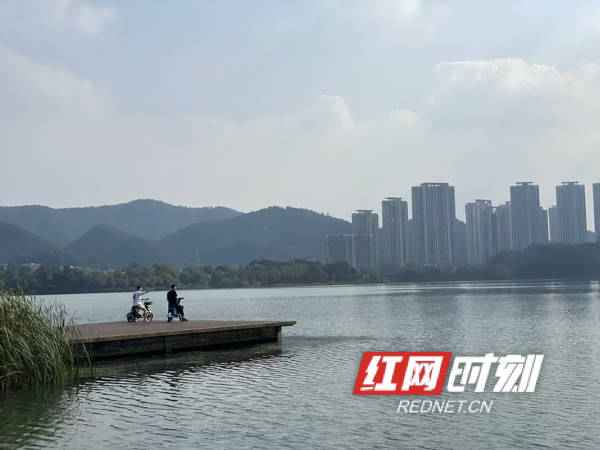 道州市秋日暖阳,温馨日常故事揭秘(最新消息)