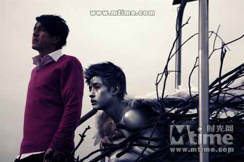 同志电影新篇章,2024年11月10日的启示与影响