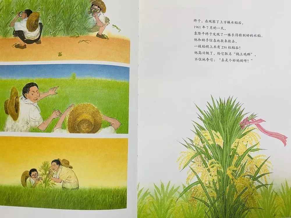 李宁最新体恤背后的故事,变化的力量与自信的魔力——纪念特殊日子的历史印记