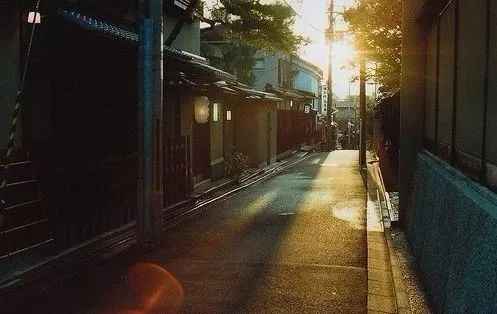 这星期分尸最新美食秘境,探秘小巷深处的独特风味与阴影之下的美食秘境