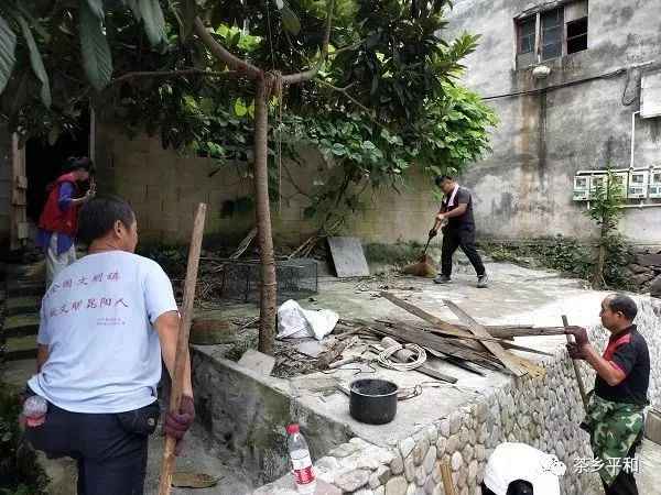 这星期分尸最新美食秘境,探秘小巷深处的独特风味与阴影之下的美食秘境