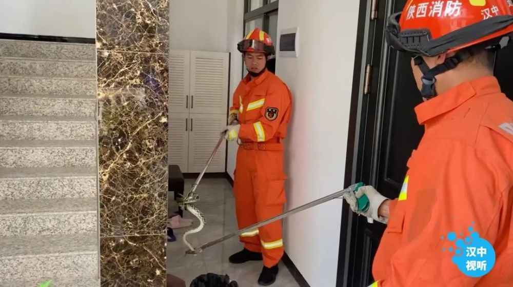 新澳门一码100%精准,揭秘安全策略_先锋版YKG816.77攻略