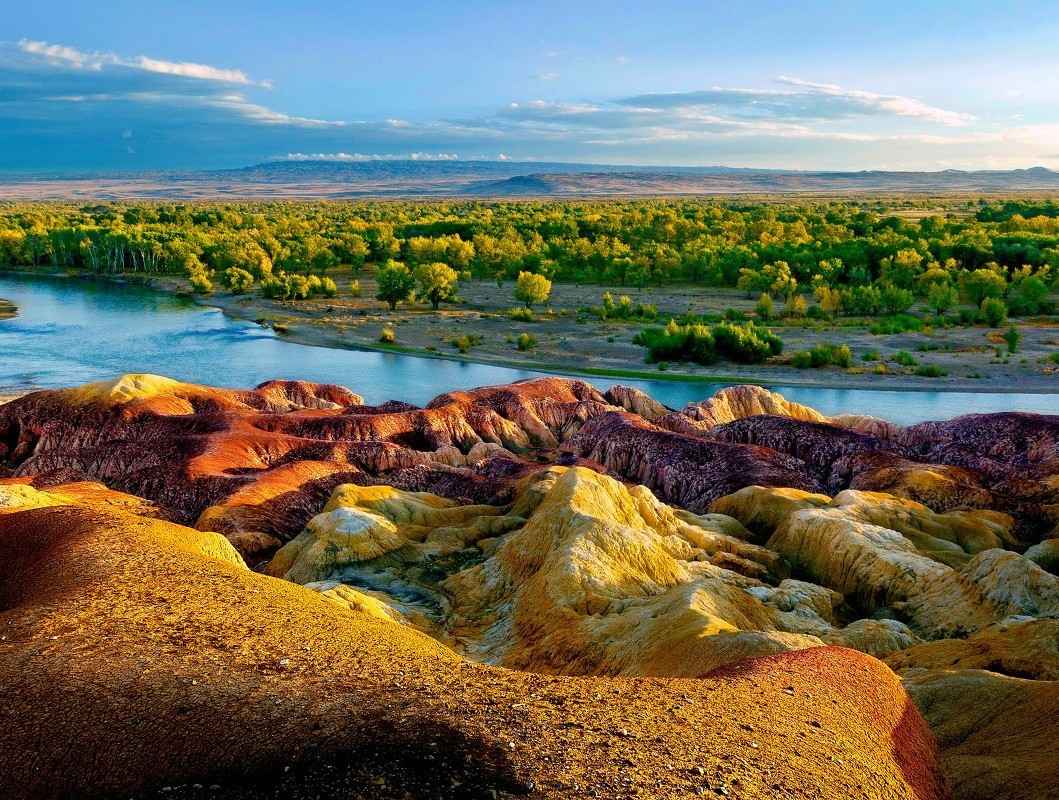 维生素价格最新行情与踏春之旅,探寻心灵宁静与自然价值