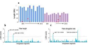 澳彩全新环保资料发布,ZWT640.52筑基指标解读