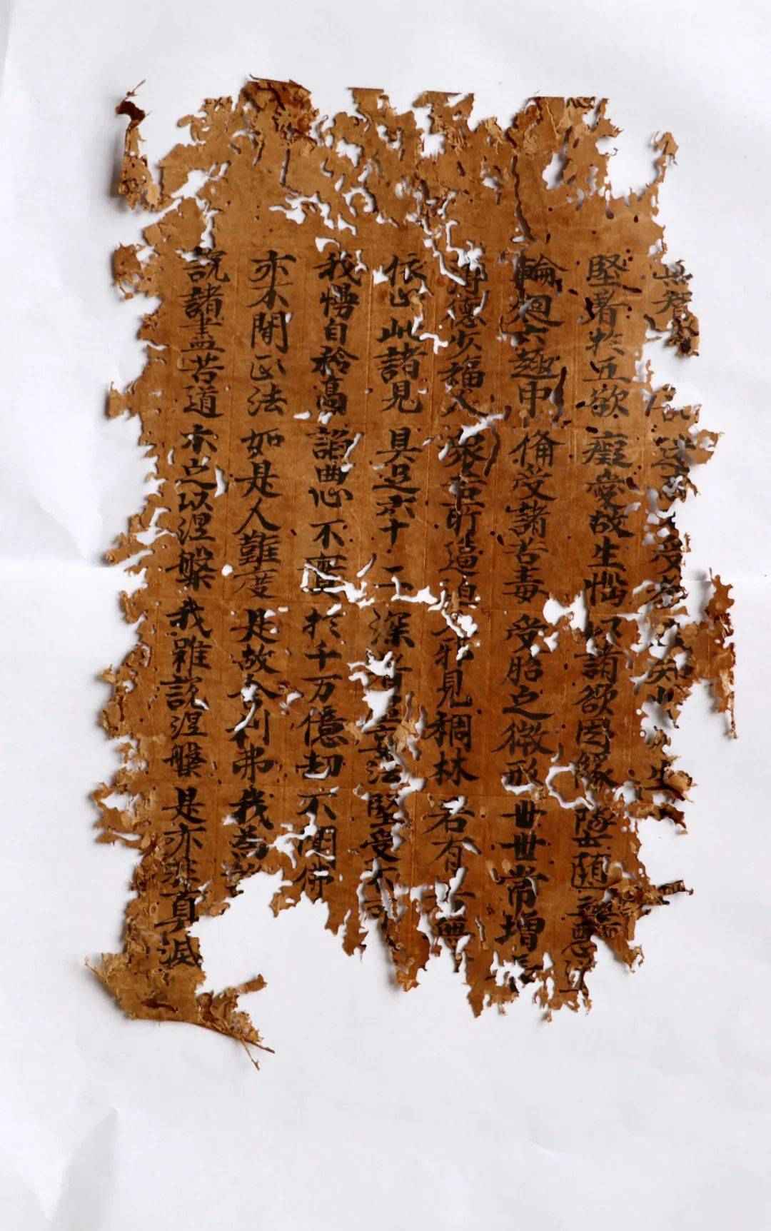 山东棉籽壳价格追踪,历史、美景与内心宁静的探寻之旅