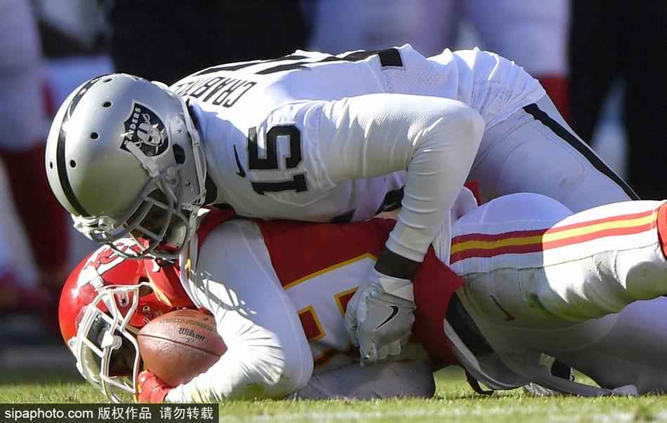 2024新澳门天天六开好彩大全,动态词语解析_道则神祗QPT751.17