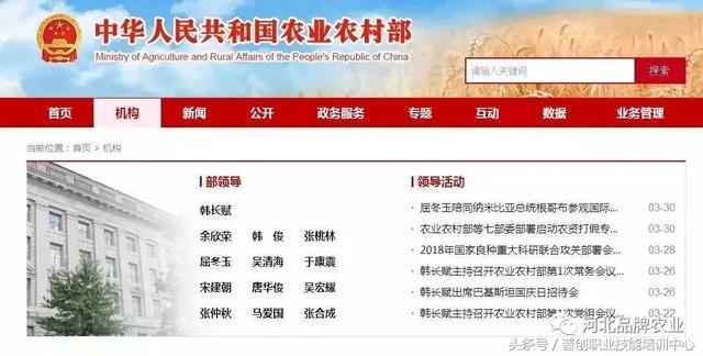 2024年农村致富新动向,探索最新致富项目,跃入快车道