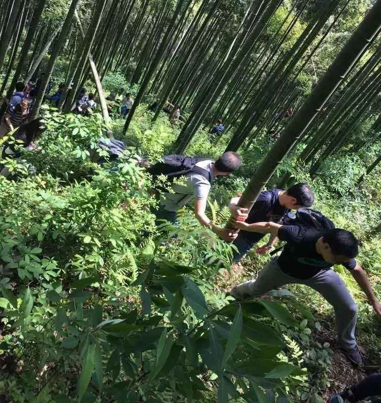 11月小清瑶最新动态与深度观察