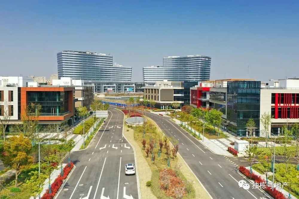 森兰外高桥十一月最新动态,与自然共舞,探寻心灵宁静的奇遇