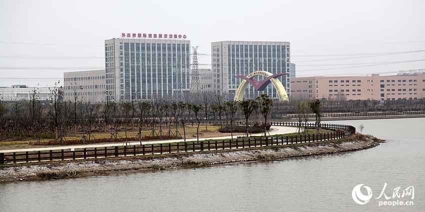 森兰外高桥十一月最新动态,与自然共舞,探寻心灵宁静的奇遇