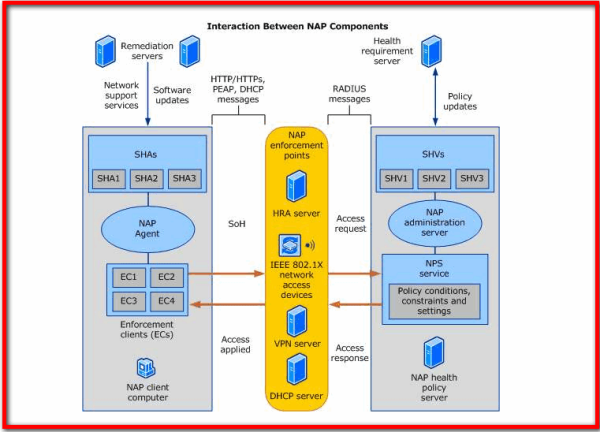 2024新奥正版资料免费获取,全面推进策略设计_BCM19.339升级版