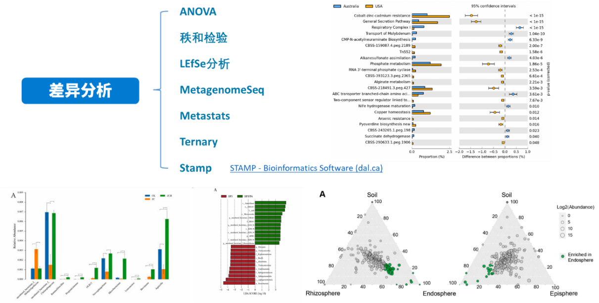 澳门精准数据整合与分析方案_RWJ87.686创意版