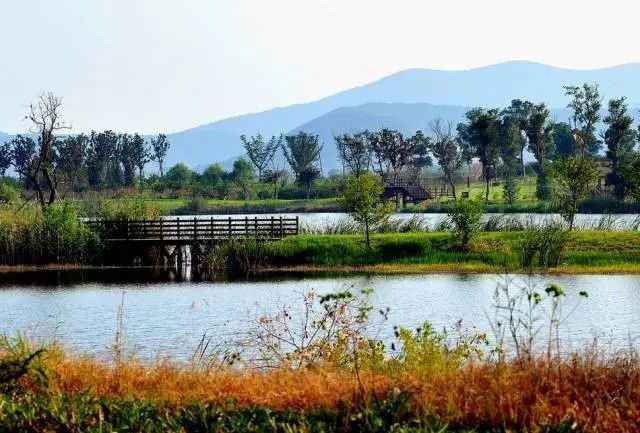 江安河湿地公园新篇章,变革浪潮中的自信绽放(2024年最新资讯)