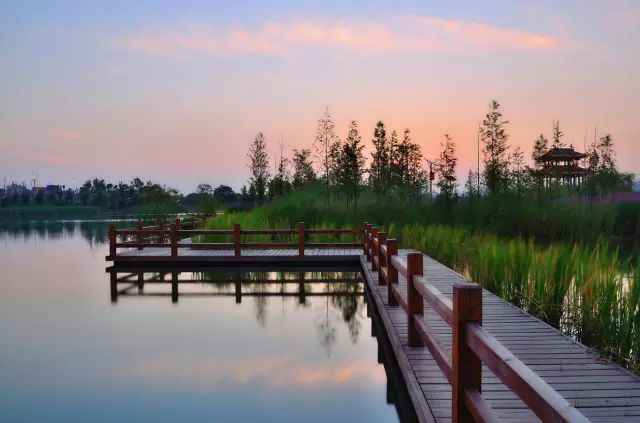 江安河湿地公园新篇章,变革浪潮中的自信绽放(2024年最新资讯)