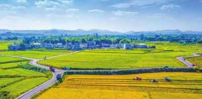 广安市花桥镇新闻热点深度解析,历年11月15日新闻回顾与用户体验竞品对比报告