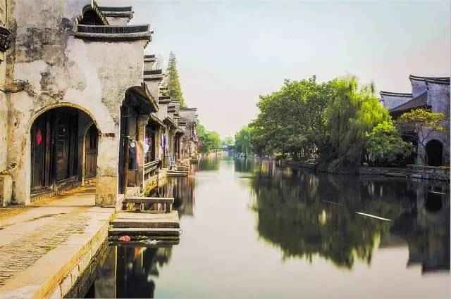 历史上的南浔茶事,探寻十一月十六日的茶韵之旅