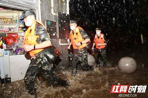 揭秘十一月最新抢险行动,科技助力救灾,三大要点深度解析