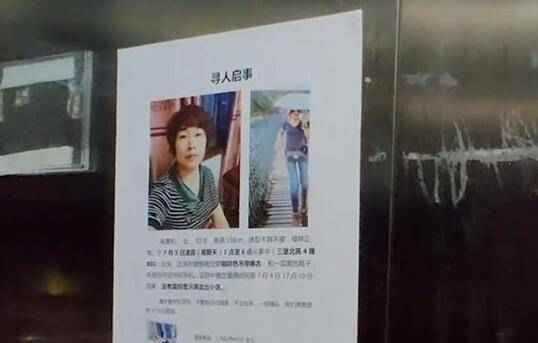 杭州杀妻案最新信息解析,历年11月15日回顾与解析