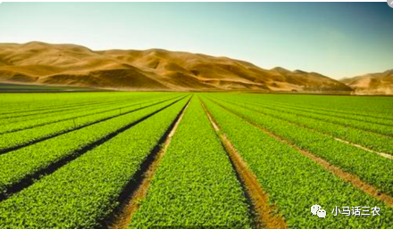 农村折迁最新标准揭秘,绿意盎然中的新篇章与美景之旅探索