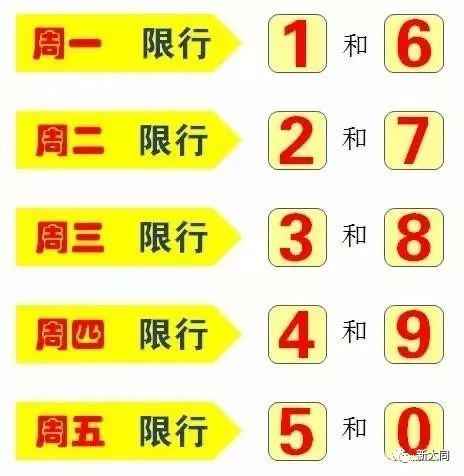 限号风云下的奇妙日常，爱的追逐与陪伴之旅