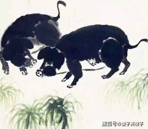 2024今晚开的四不像生肖图,极速解答解释落实_EXK8.75.66学习版