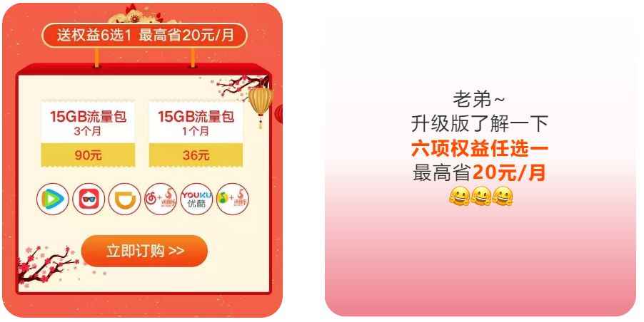 六肖100准白小姐王中王,全面说明评估_ZBS1.12.98活力版