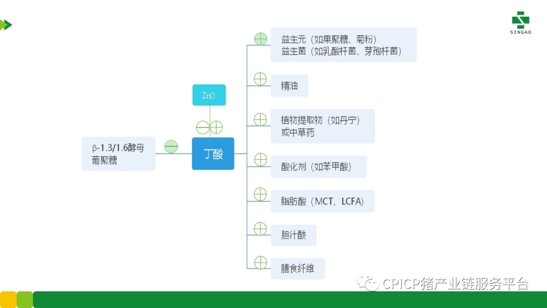 xiamakanhua 第29页