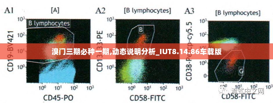 溴门三期必种一期,动态说明分析_IUT8.14.86车载版