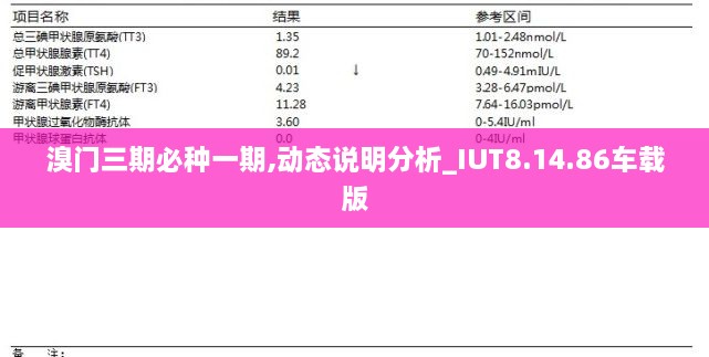 溴门三期必种一期,动态说明分析_IUT8.14.86车载版