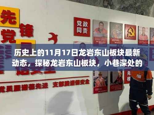 龙岩东山板块11月17日最新动态揭秘,小巷特色小店与最新发展