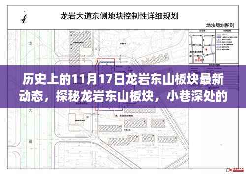 龙岩东山板块11月17日最新动态揭秘,小巷特色小店与最新发展