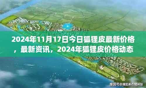 2024年狐狸皮市场最新动态，今日价格分析与市场分析