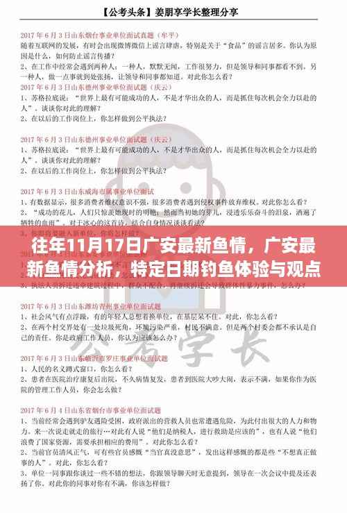 广安11月17日鱼情深度解析，钓鱼体验与观点探讨日回顾